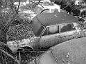 Autofriedhof - 079